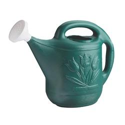 NOVELTY Watering Can